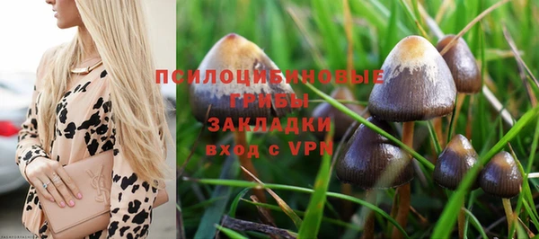 спиды Куйбышев