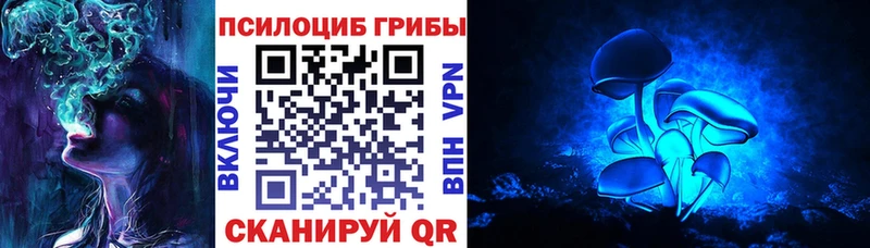 Купить где  Добрянка  Псилоцибиновые грибы прущие грибы 